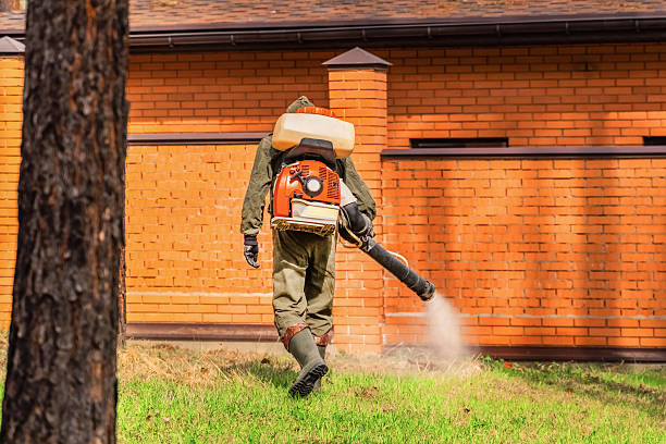 Trusted Emergency Pest Control service in Amity, OR - Nex Pest Control